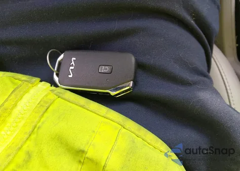 2022 Kia Telluride S from USA, damaged, VIN 5XYP64HCXNG225885